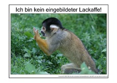 Eingebildeter-Lackaffe-2.pdf